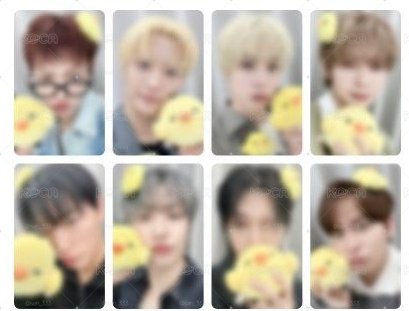 預售 HL 1.0 🐥（單特典卡）