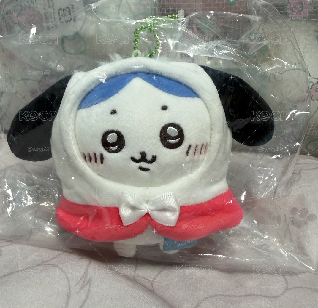 帕恰狗小八