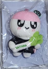 埼玉 大蔥