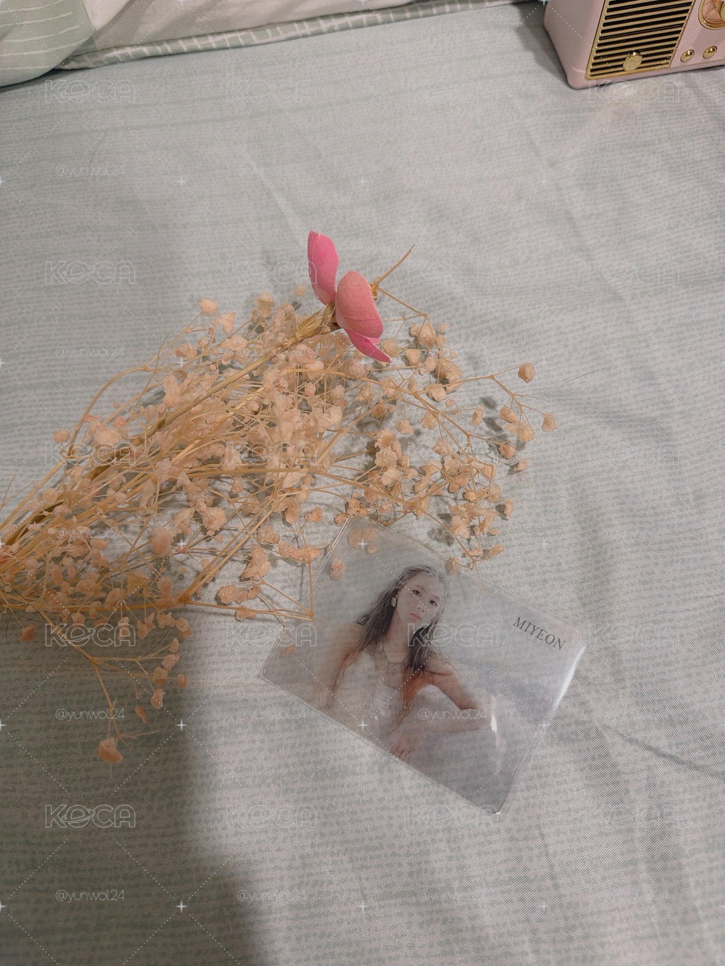 I Trust 絕版透卡麵