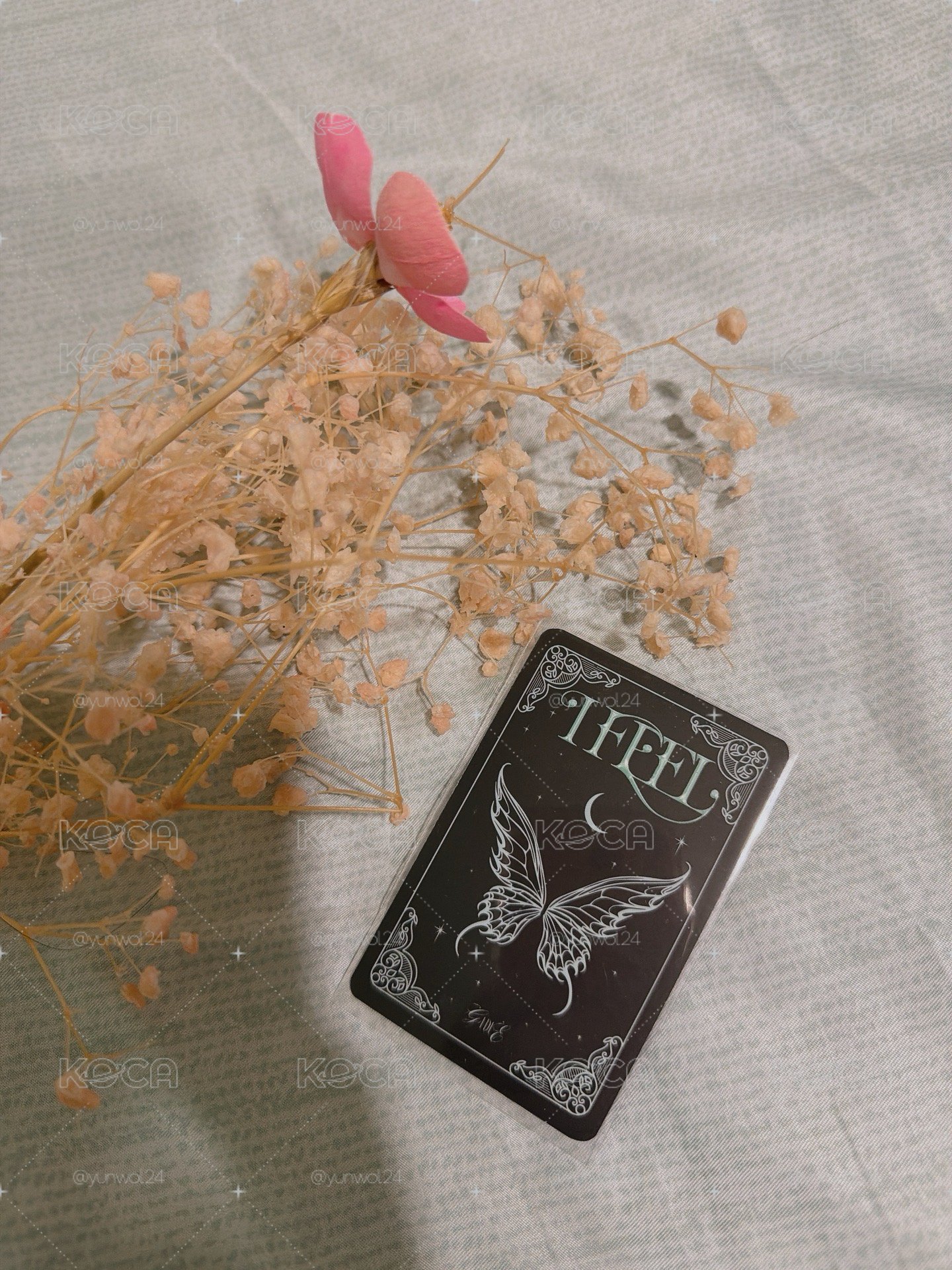 蝴蝶麵🦋