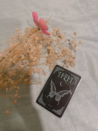 蝴蝶麵🦋