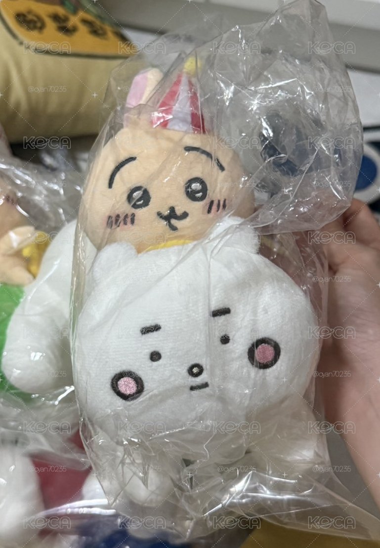 騎行兔