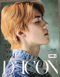 D-ICON 雜誌 