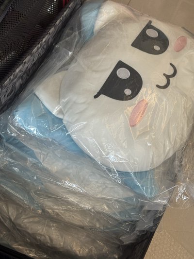 大娃抱枕｜賢（已買到現貨）
