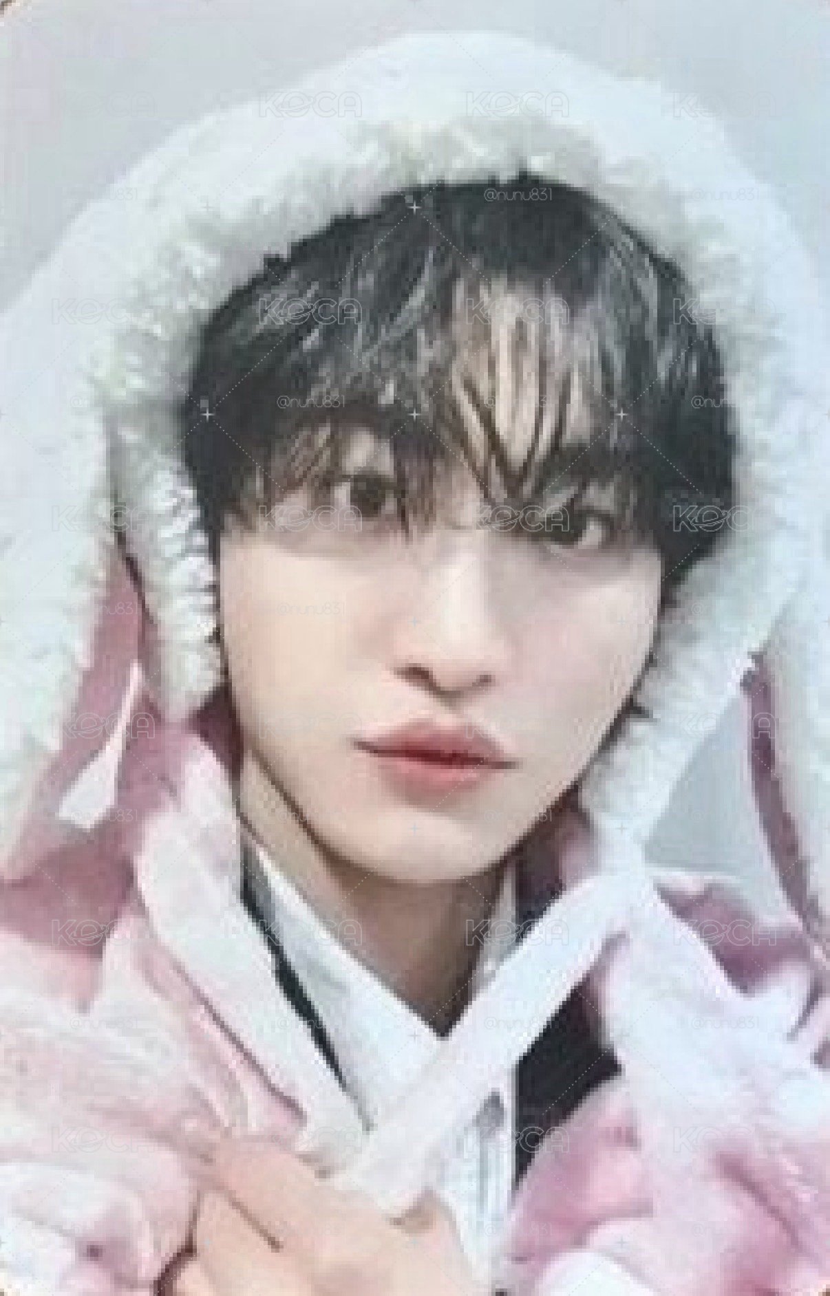 粉兔星🐰