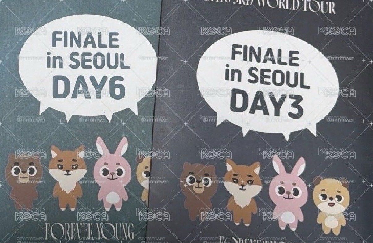 Day6 FY入場禮 Day6整組4張卡內容物都有
