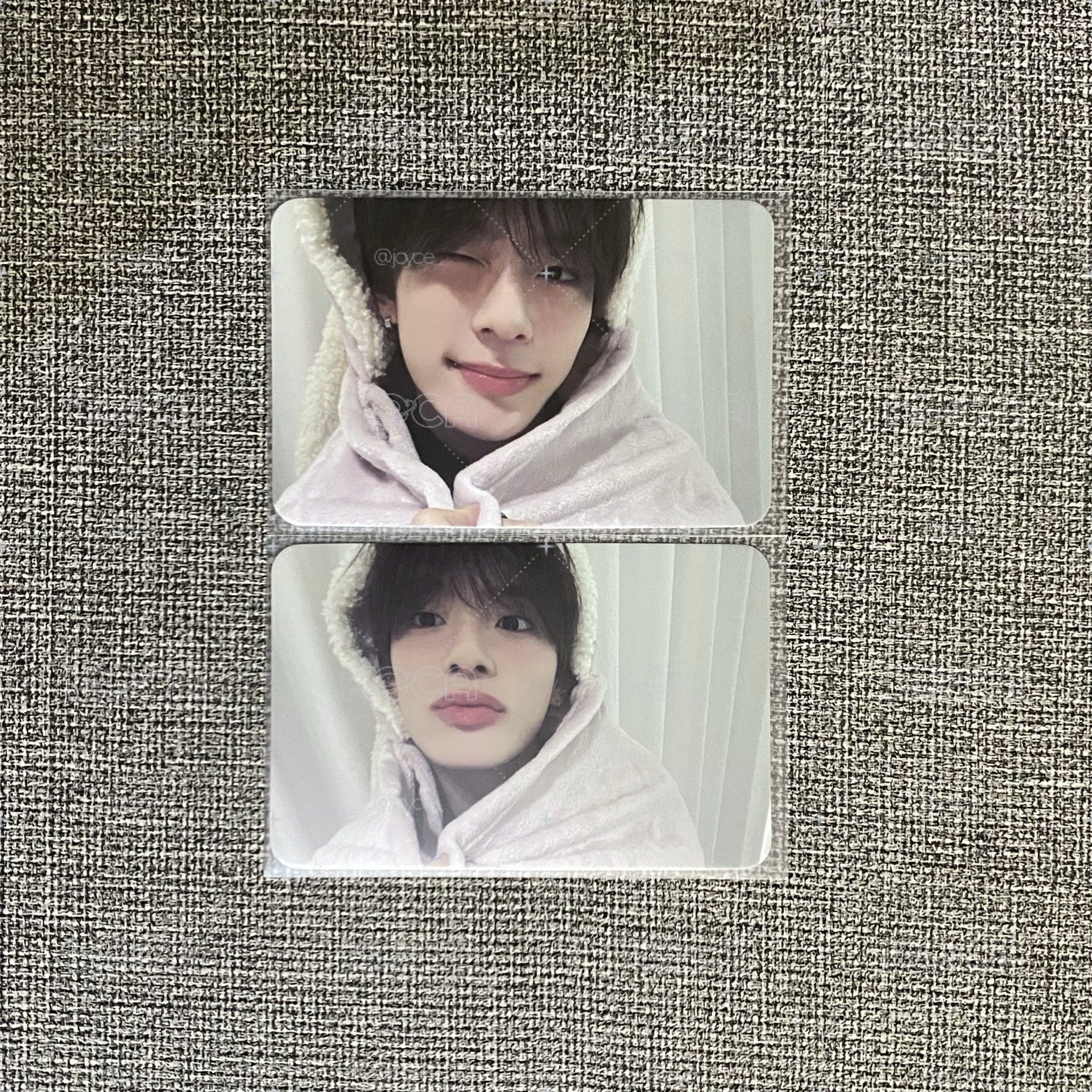 VERIVERY 柳岡旻兔毯特典