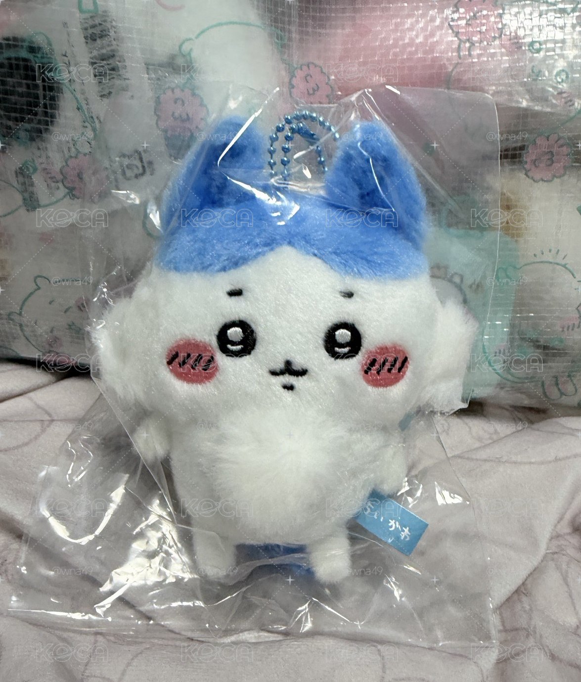 平行世界小八