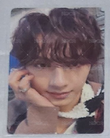 迷11 愛知 場限