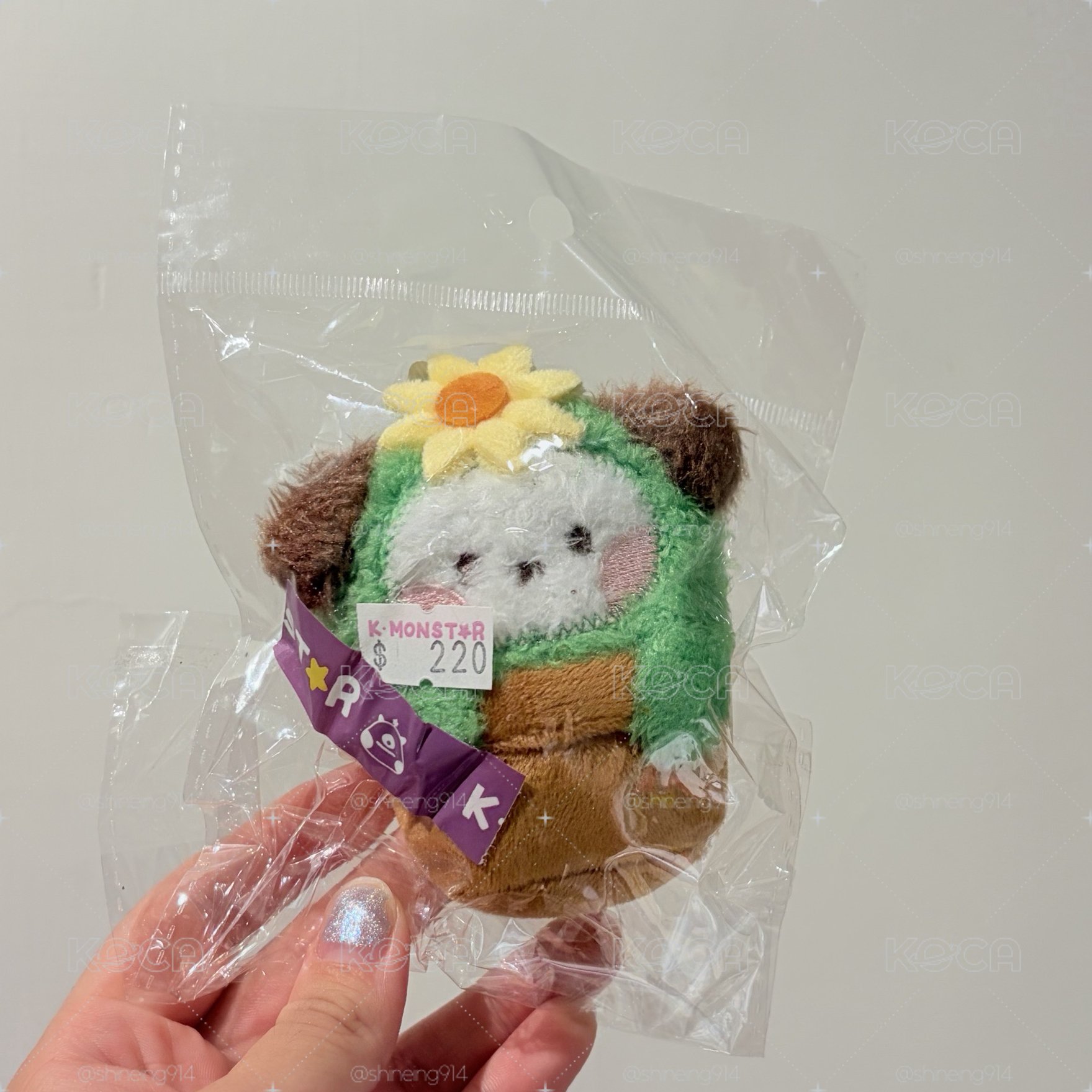 BTS 盆栽chimmy 