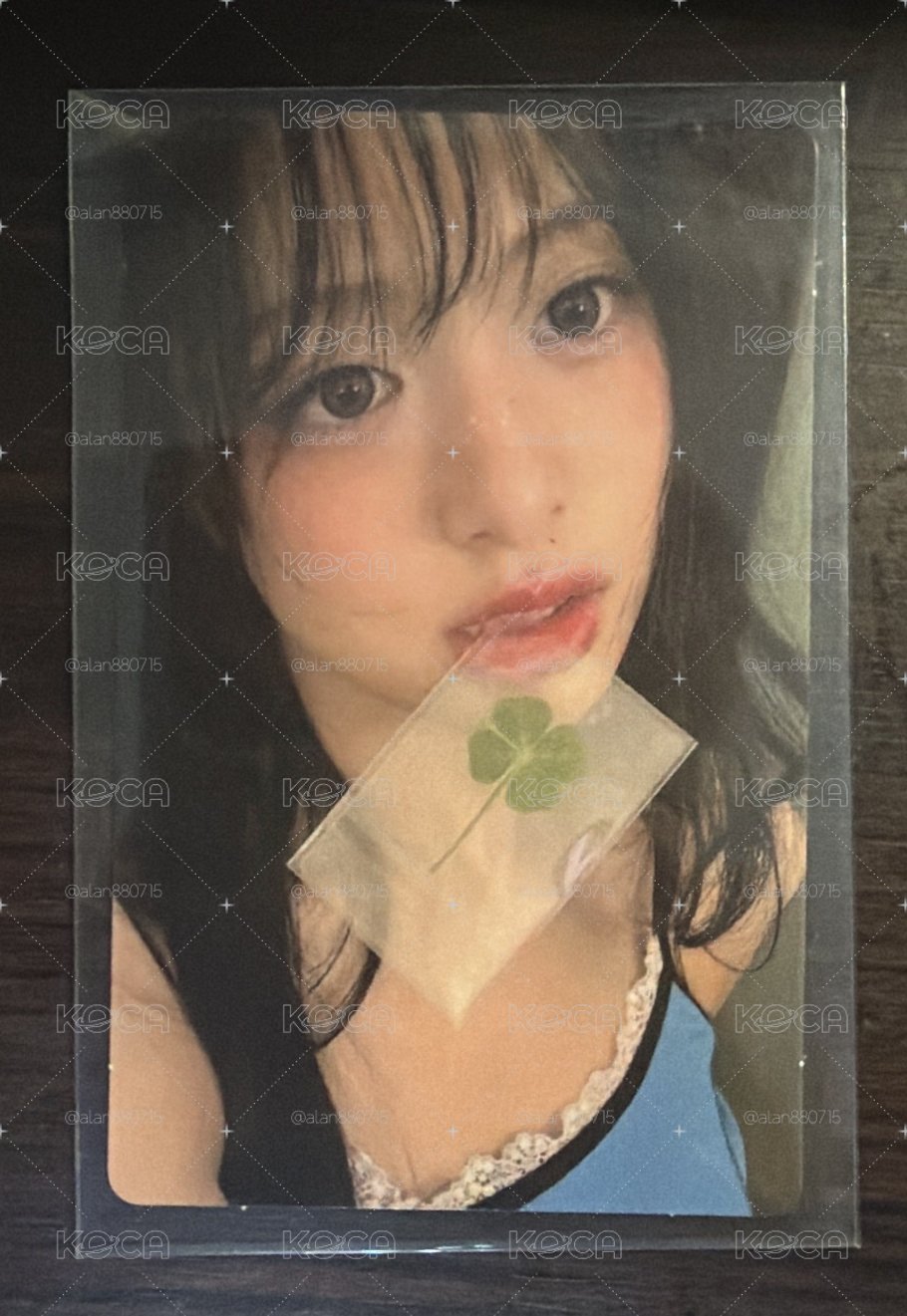 幸運草賢