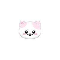 二巡 JYP JAPAN TWINZY 大頭 別針襟章 NAong