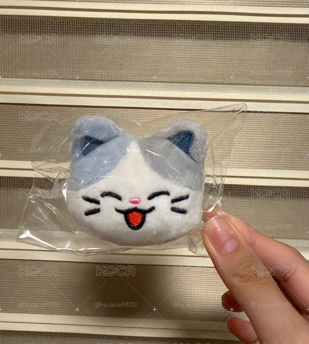 Dreamiez 徽章 
