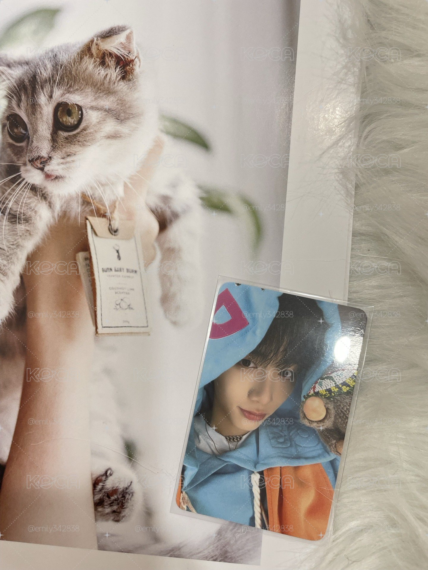 【BND】🐈⬛出道公放