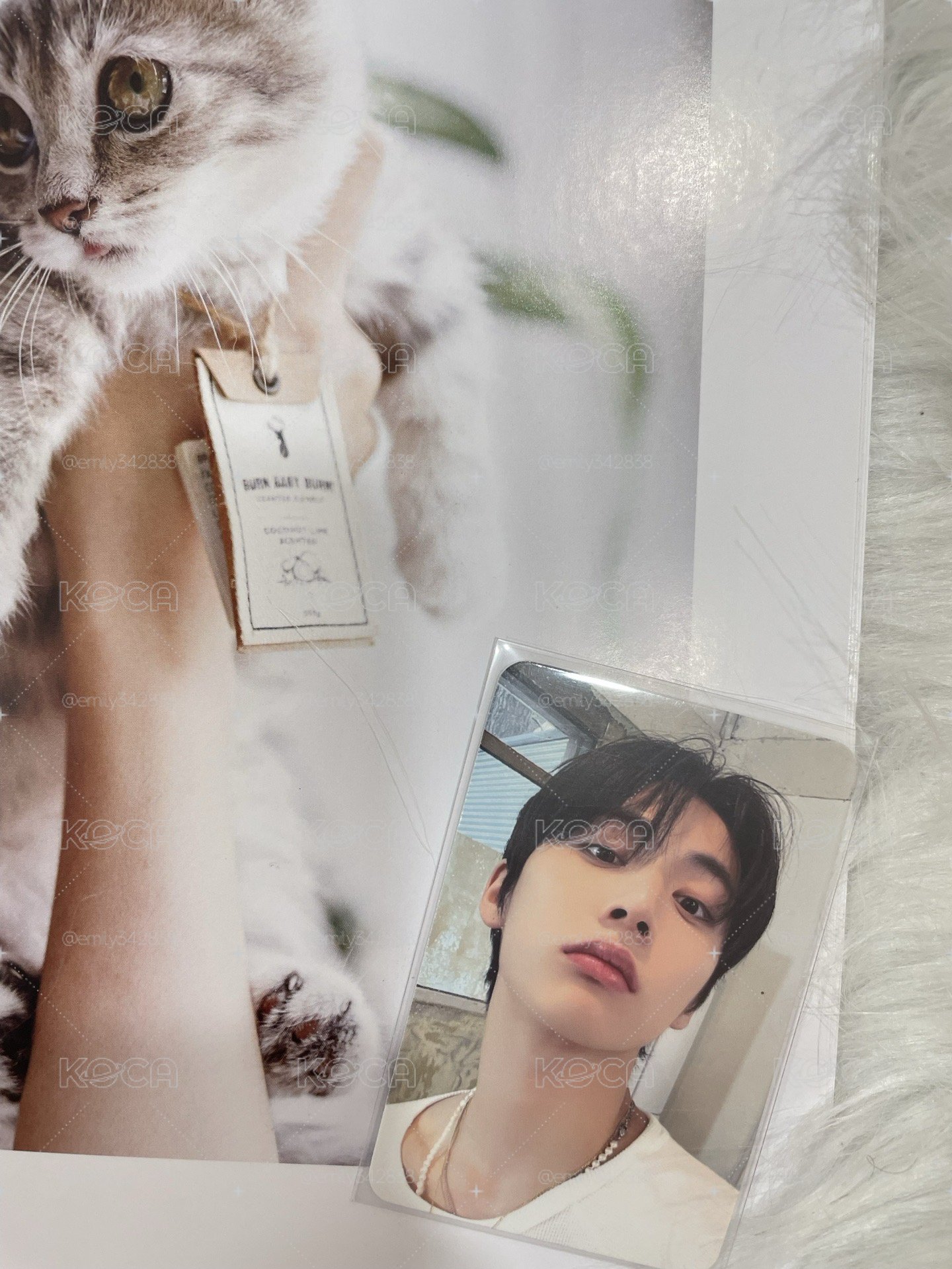 【BND】🐈⬛楠藝簽售卡