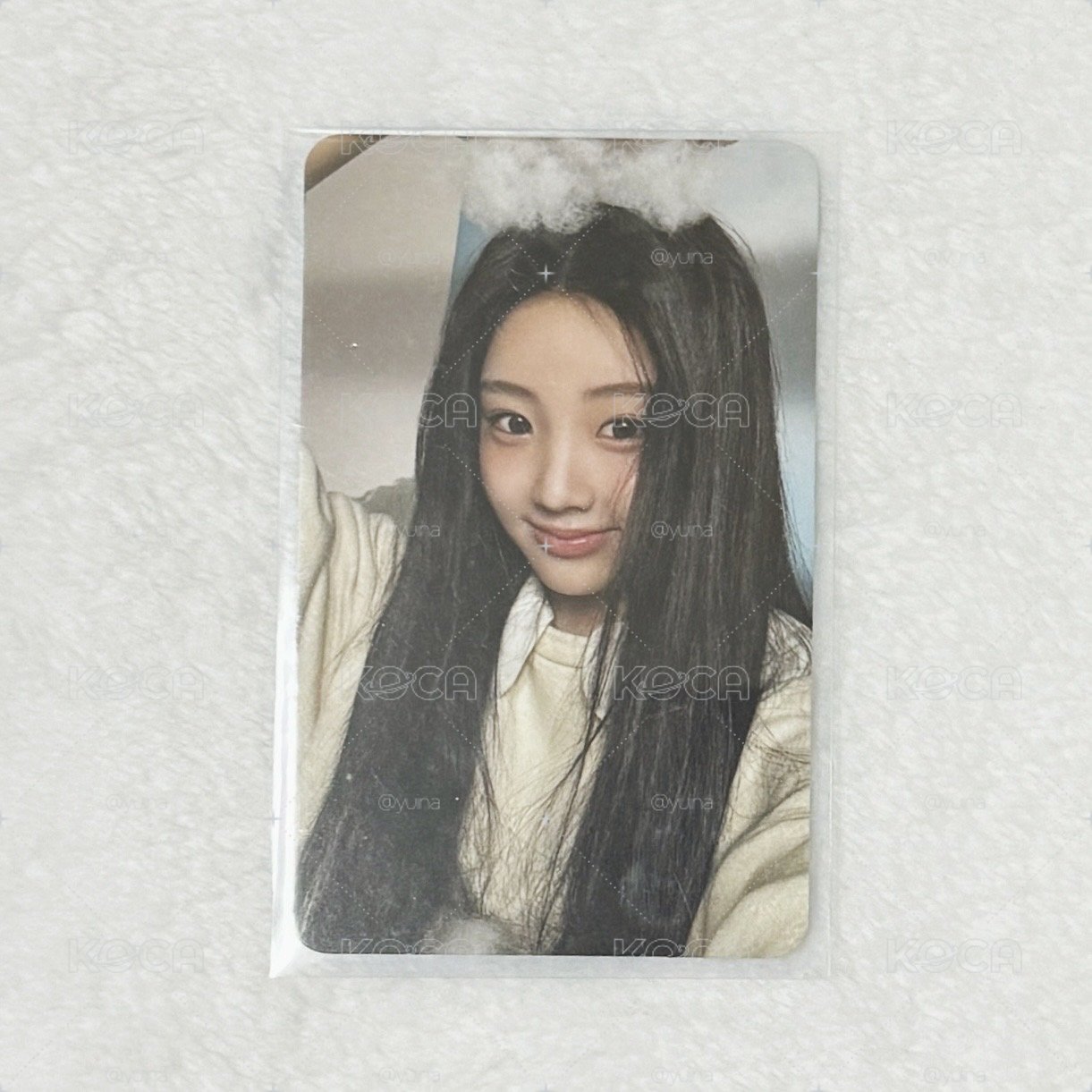 Wonhee 專輯卡