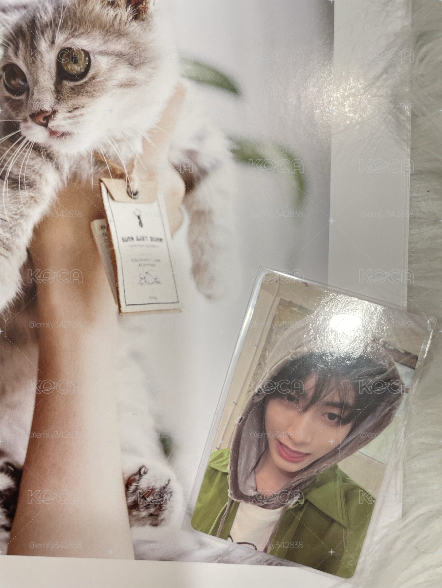 【BND】🐈‍⬛吐舌 sw1.0幸運卡