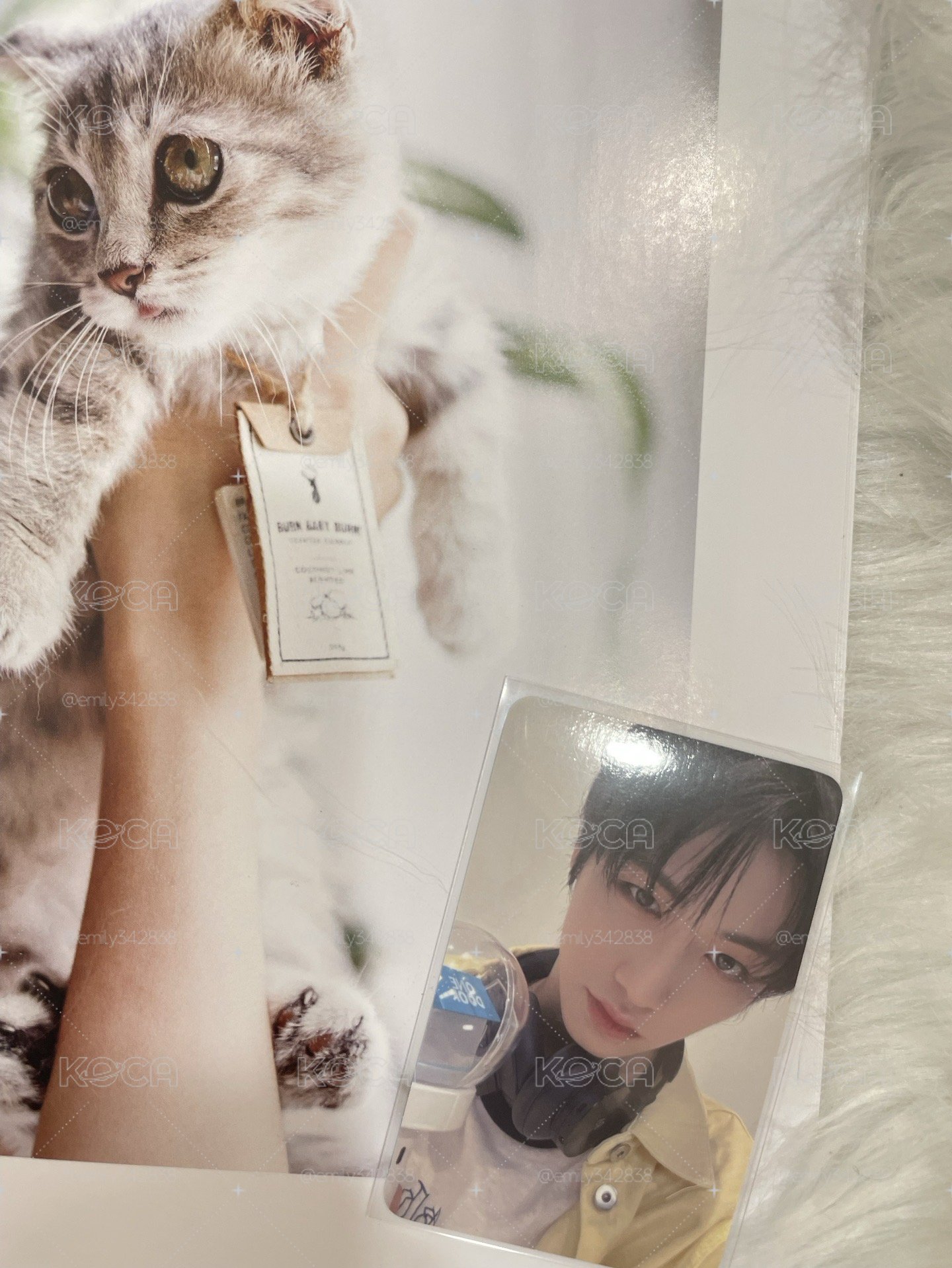 【BND】🐈⬛knock on 仁川粽卡