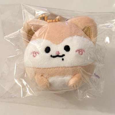 三巡 圓滾滾領 黑皮領 線上滿額卡 不拆