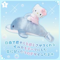 騎海豚 2026 中娃 KT騎海豚🐬