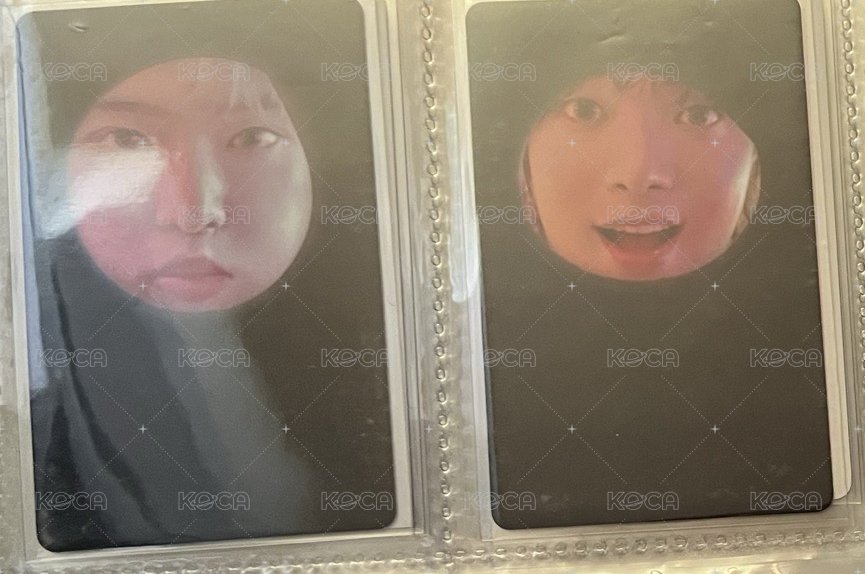 和兔兔一起