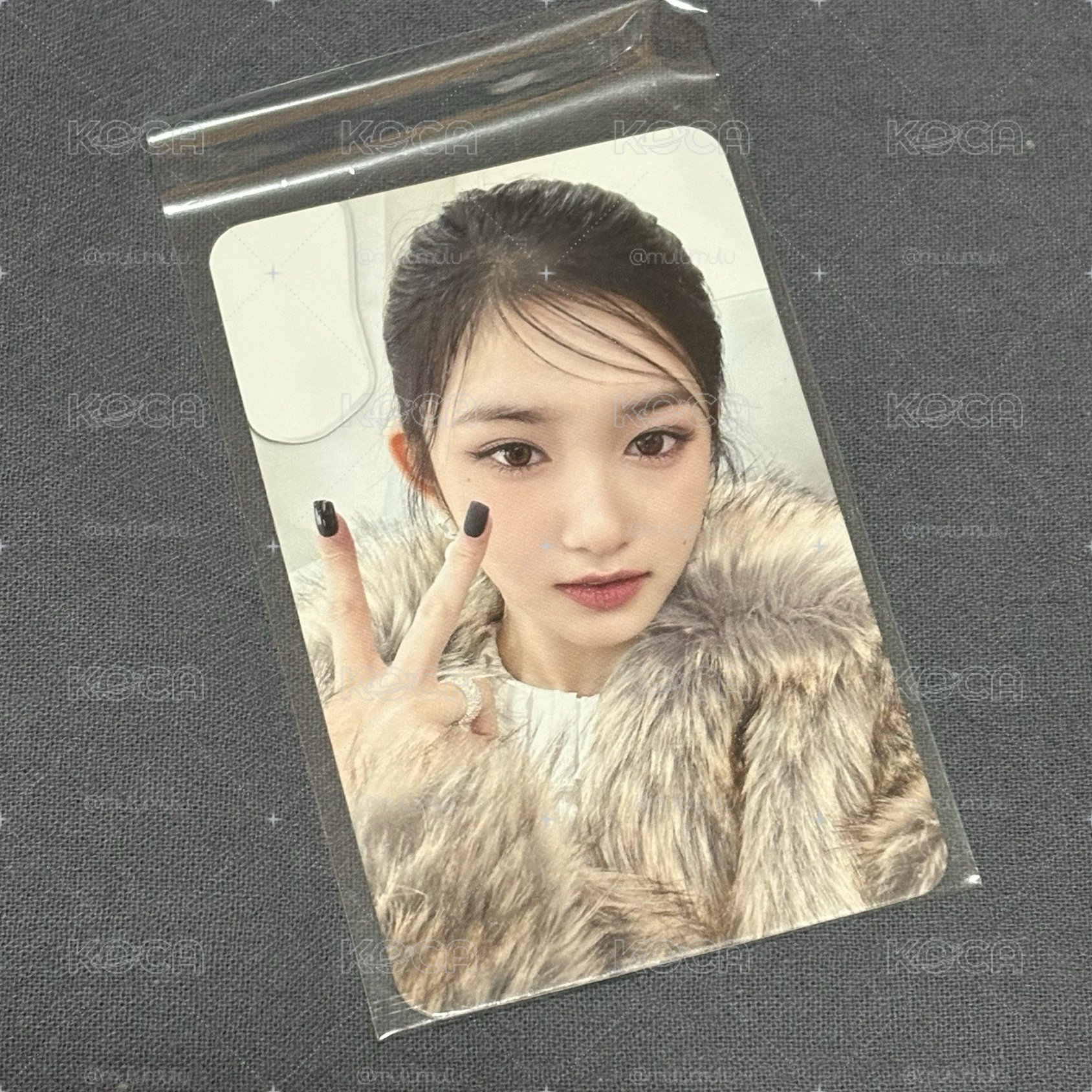 LEESEO 星河2.0