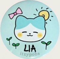 2025 FM jyp TWINZY 徽章 Li-Li