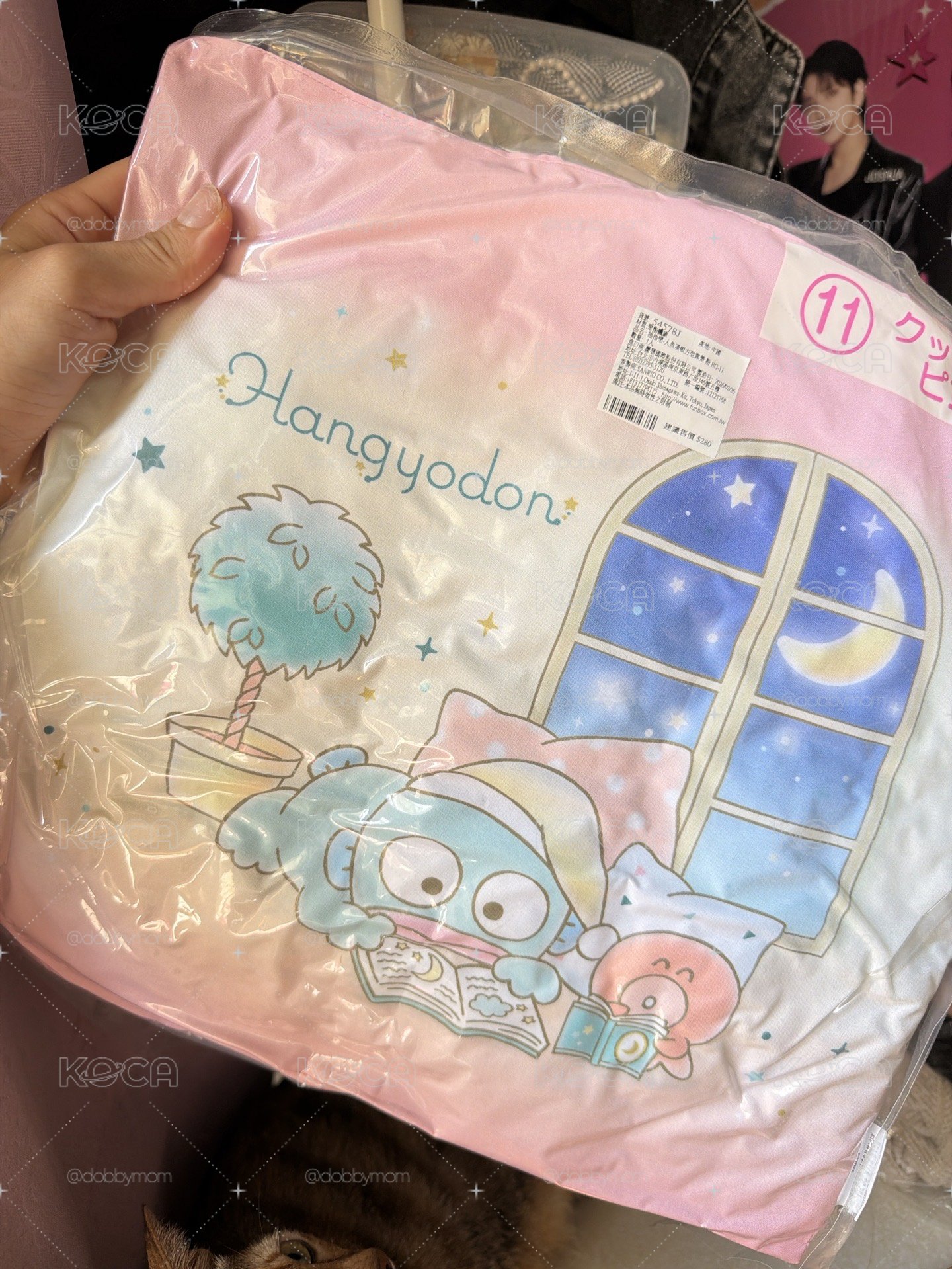 漢頓抱枕