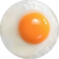 Hayashi