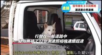 ㅇㅁㅇ