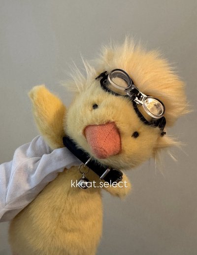 炸毛黃鴨