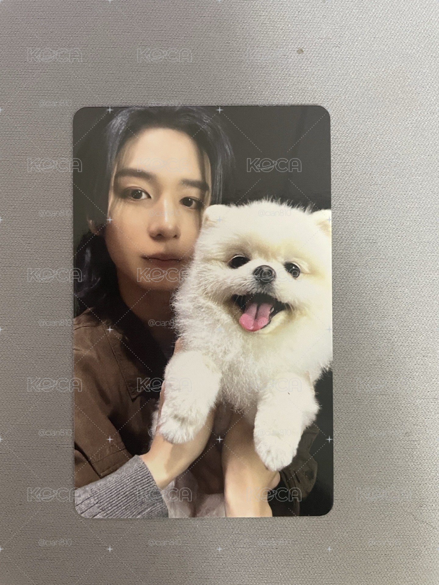 HOME wvs PB 特典卡 金桐儇 𝖫𝖤𝖤𝖧𝖠𝖭 김동현
