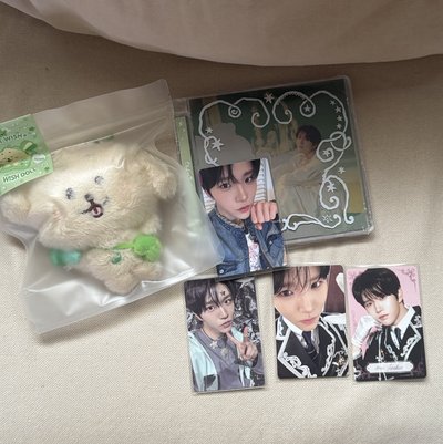 全新未拆叮特里盤