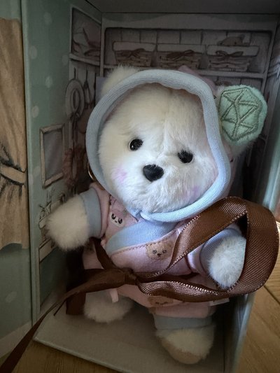 💎吊娃 Seventeen x 莉娜熊TeddyTales十週年聯名