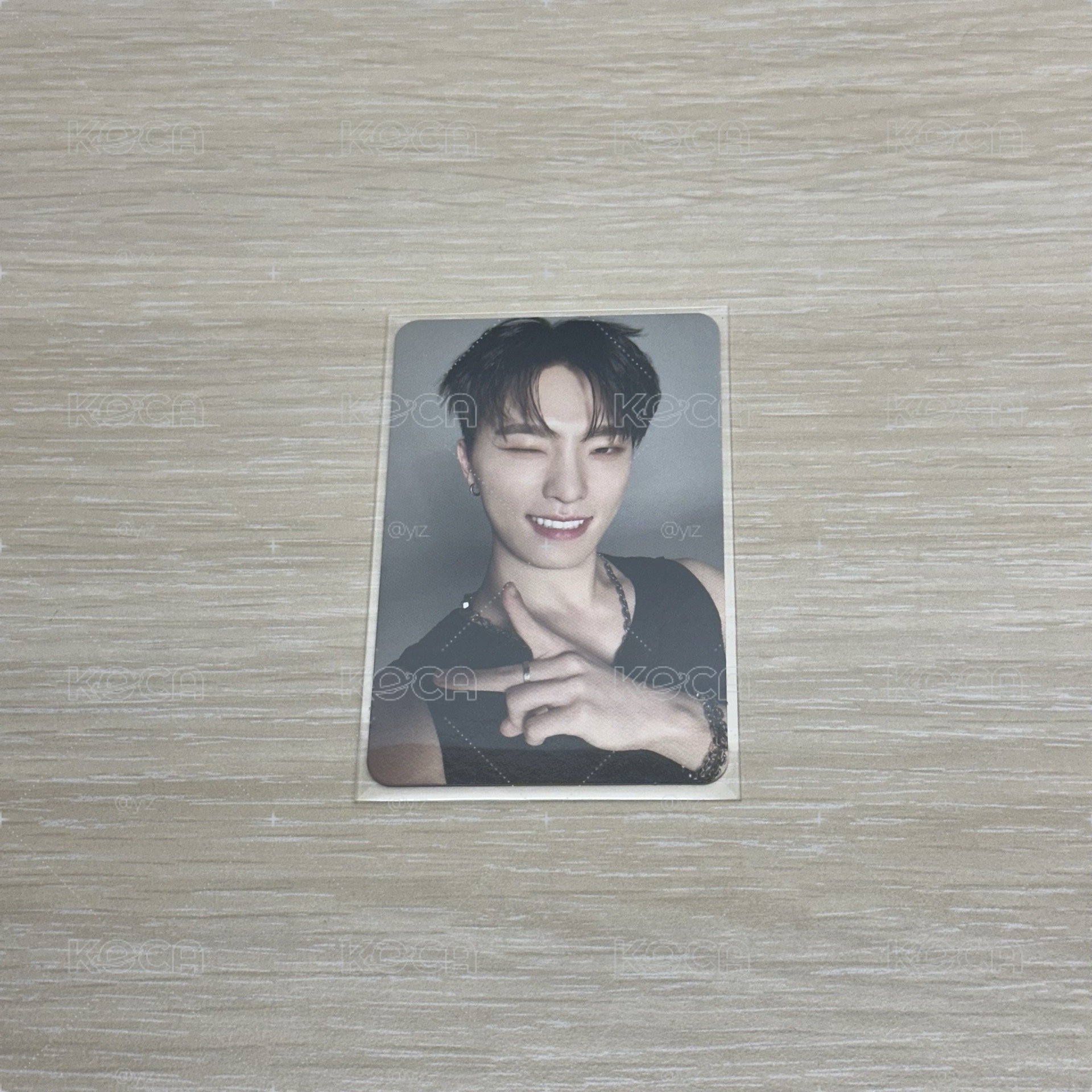 SEVENTEEN 李燦 DINO 專輯卡