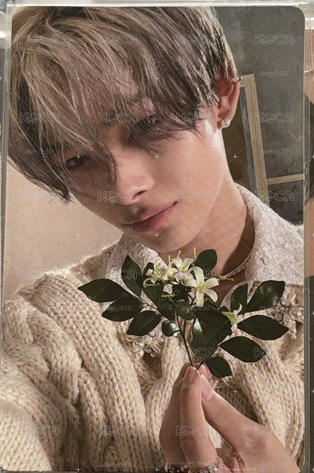 迷五 花花力