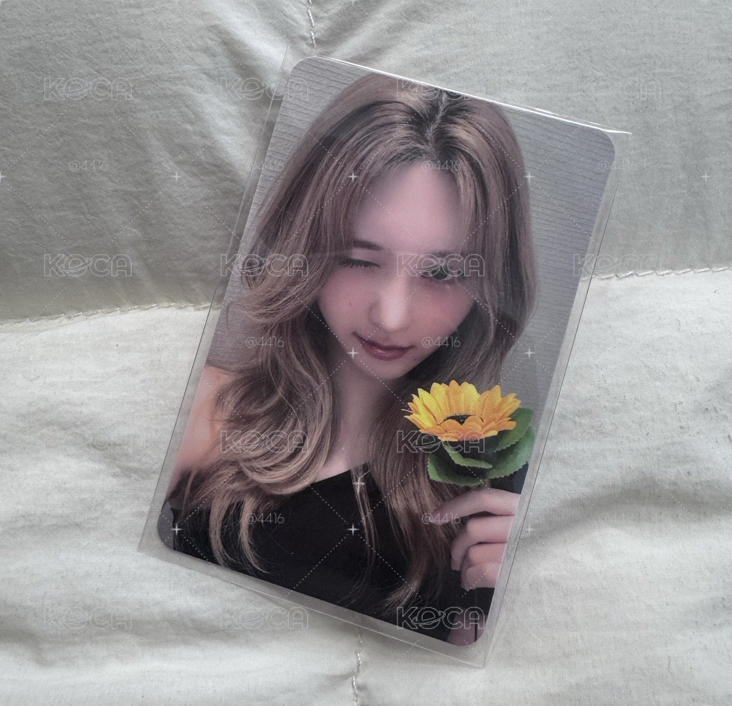 二星秋🌻