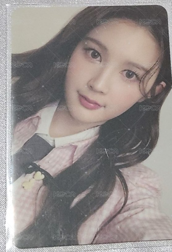 Ana sc特典