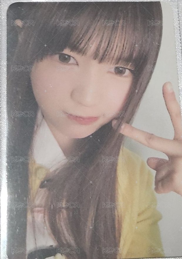 sc特典