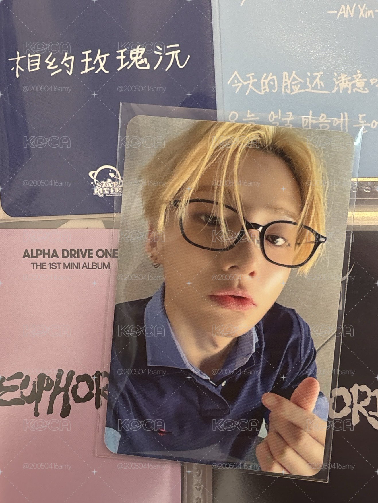 相約玫瑰沅