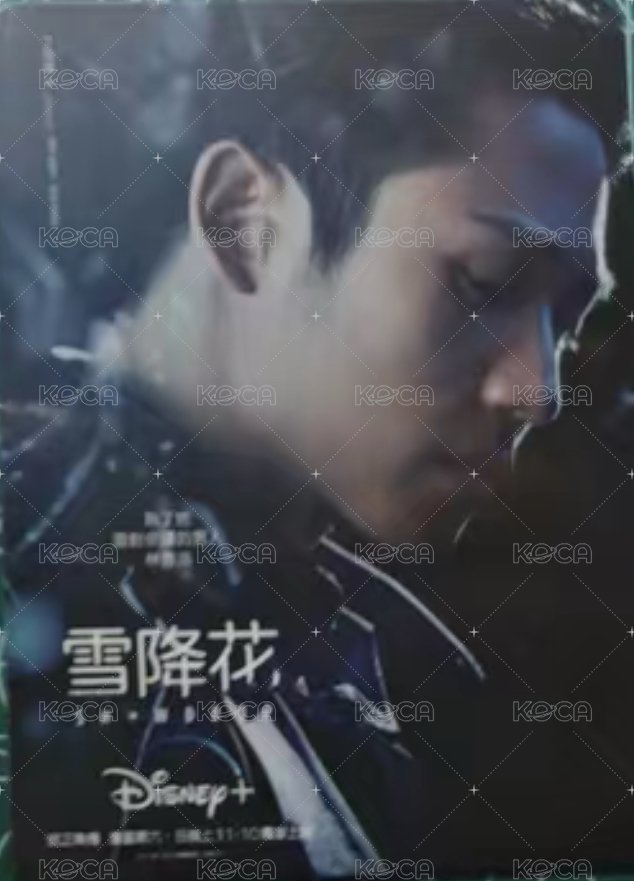 雪降花 周邊卡  背面
