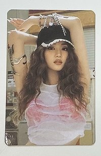 🐱