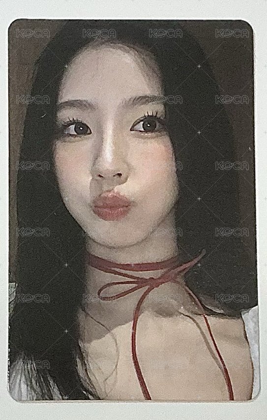🐰