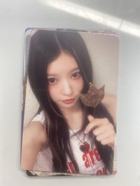 單曲一一直娛楓葉