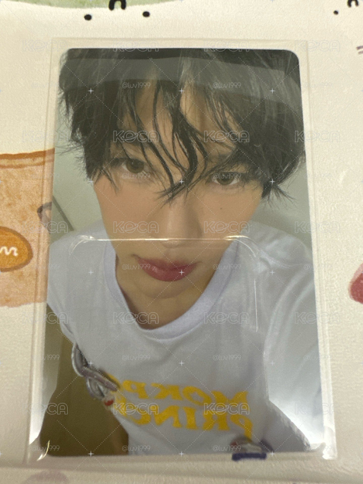 NCT WISH SION 日本演唱會 滿額卡