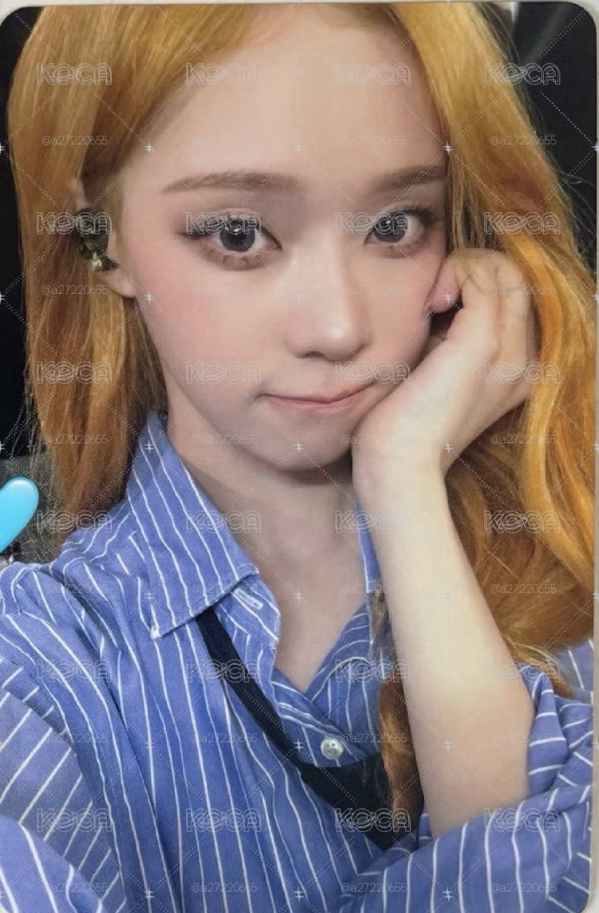 華納冬