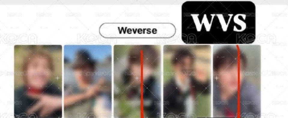 迷二wvs2.0幸運卡