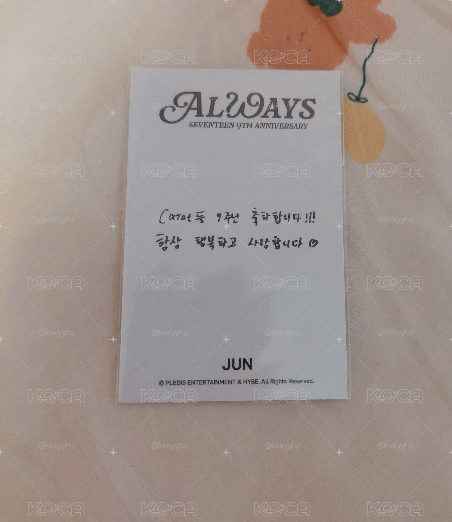 🍀俊輝 JUN SEVENTEEN  九週年 項鍊卡