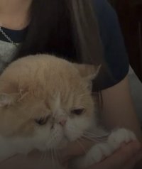 瑀曦